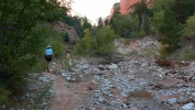 PICTURES/Zion National Park - Yes Again/t_Trail In Canyon1.JPG